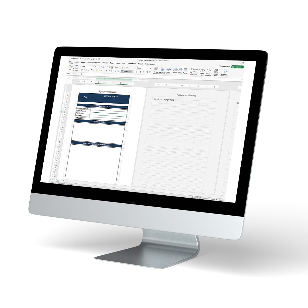 Formato de Descripción de Puestos
