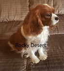 lucy 2.jpg