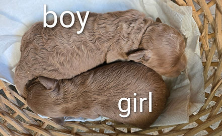 20251030_112253~2 (1).jpg