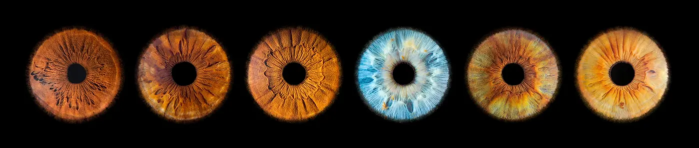 photographie-iris-famille-dreux