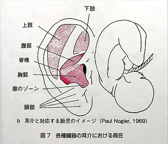 画像　耳介局在.jpg