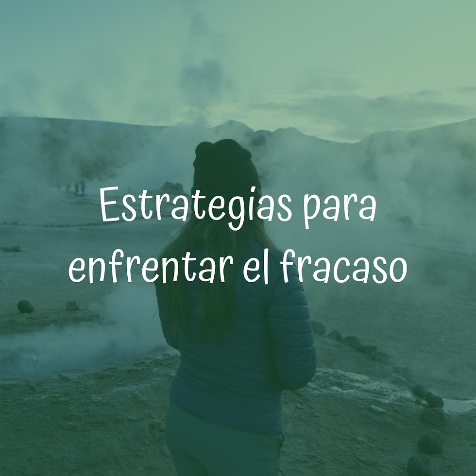 Mujer contemplando paisaje, Estrategias para enfrentar el fracaso