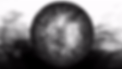 Lens Organic (Compressed).gif