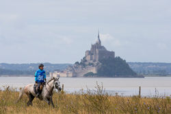 Dolgikh N-CAEN14L3549