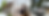 _Wix - slides (14).png