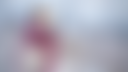 Dog bundled up for winter