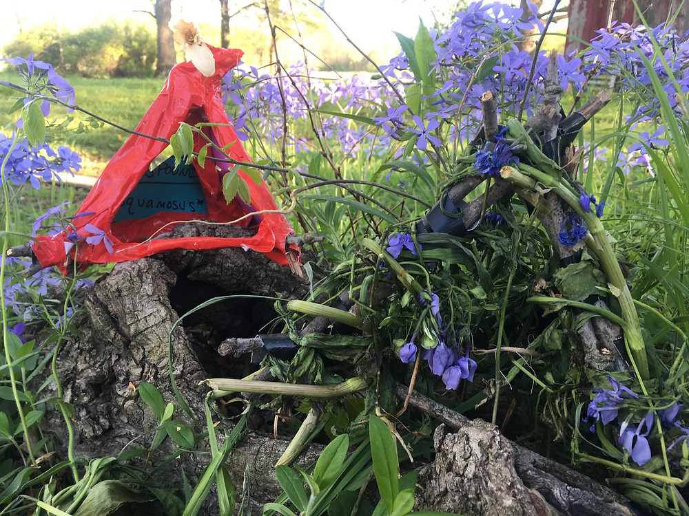 St Louis Kids Art Class, Summer Camp