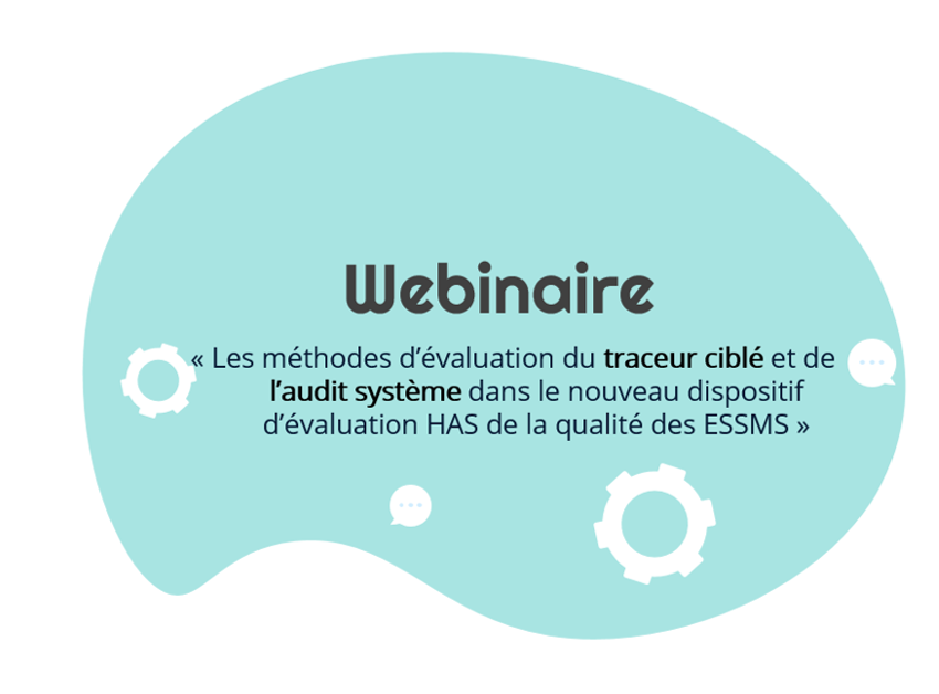 Le traceur ciblé & l'audit système: méthodes d'évaluation des ESSMS