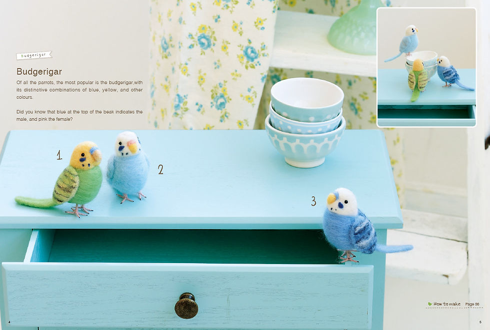 Küçük resim: Cute Birds to Make with Needle Felting