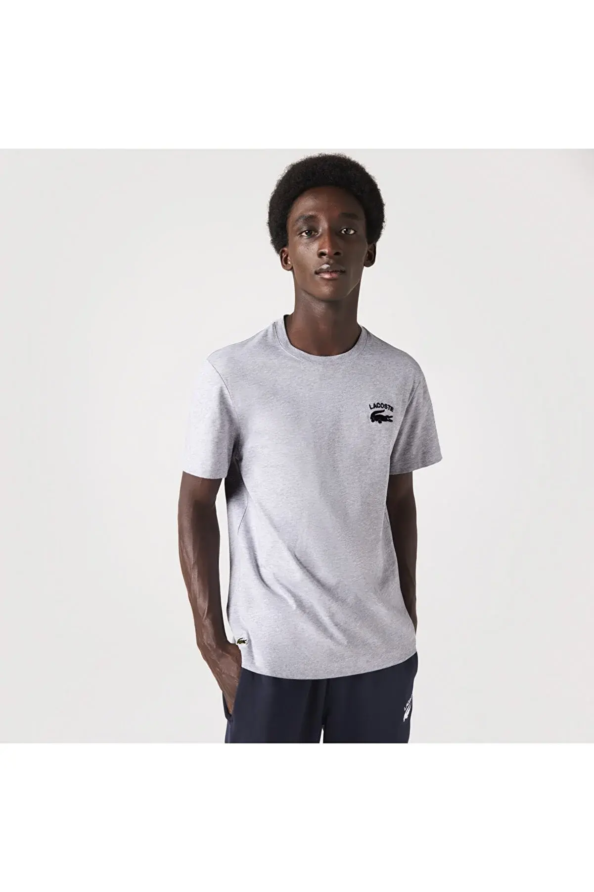 Lacoste Erkek Regular Fit Bisiklet Yaka Baskılı Gri T-shirt TH9665