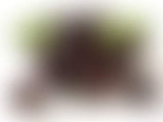 What are acai berries, and what are their possible health benefits?