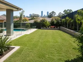 New Turf Brisbane: What to Know Before Replacing Your Lawn