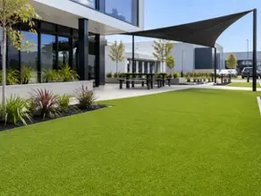 Commercial Turf Installation in Brisbane: Durable Lawn Solutions for Businesses