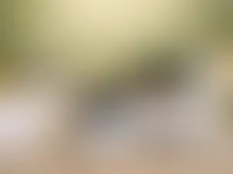 A Complete Natural Skincare Routine: From Gentle Cleansing to Deep Skin Repair