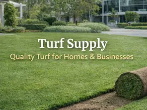 Turf Supply South Brisbane Quality Turf for Homes & Businesses