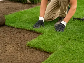 Professional Turf Installation in Australia: Brisbane’s Best New Lawn Solutions