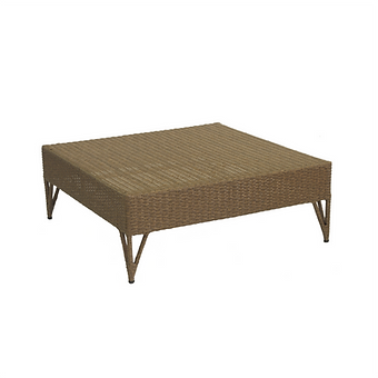 Mesa Agave (Ext).png