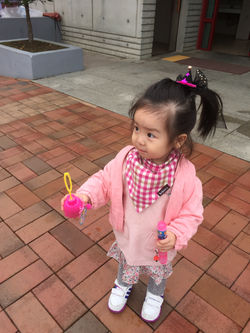 비누방울해주세요