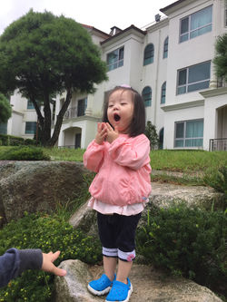 파인리즈리조트
