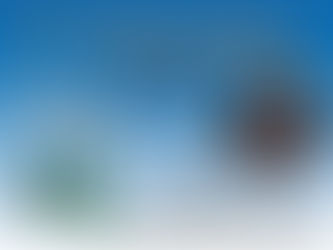 Weihnachtsbaumverkauf am Feuerwehrgerätehaus