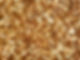 119806888_599972657337649_29227328491787