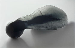 MAPLE SEED 1995  21 x 7,5 x 4in