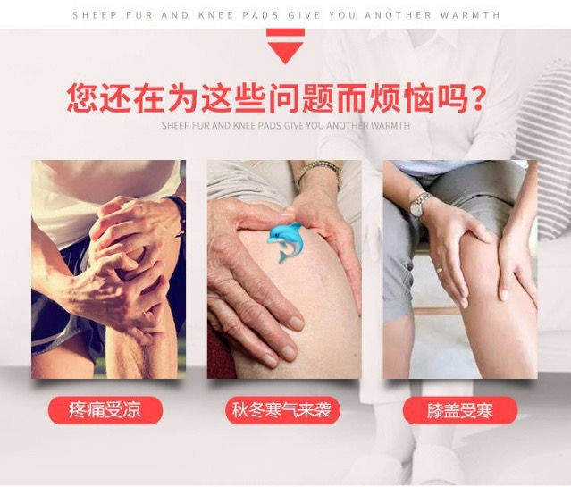 縮圖：真皮羊毛護膝NY6441653