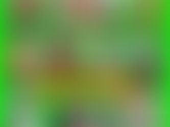 "В царстве золотых рыбок"