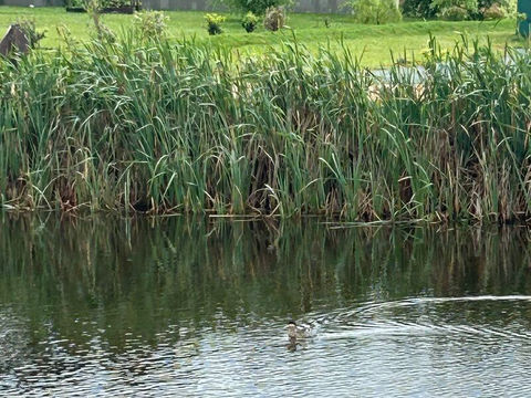 Lately, I’ve been spending time with my father.