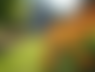 Inside Look: Cindy Knox, Broker at Knox & Associates - Your Go-To for San Diego Real Estate