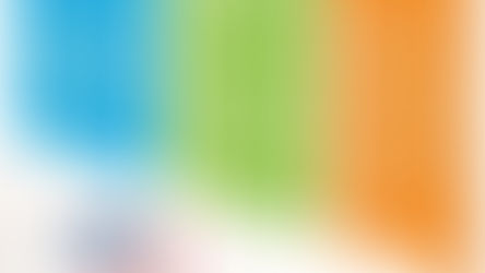 Experto en la enseñanza de la lengua y cultura españolas en el sistema educativo francés (CAPES)