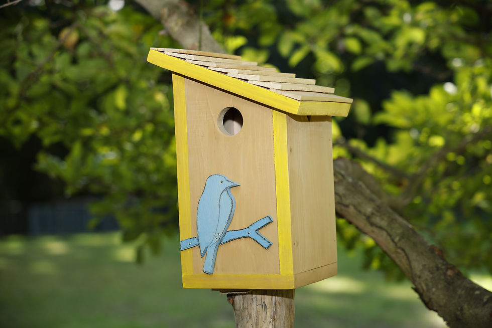 Yellow Bluebird Bliss: Handcrafted Bluebird Nesting Box
