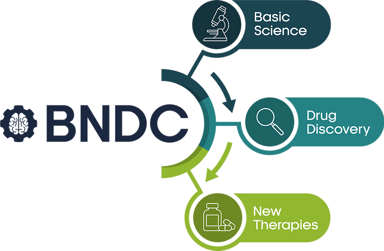 BNDC Process