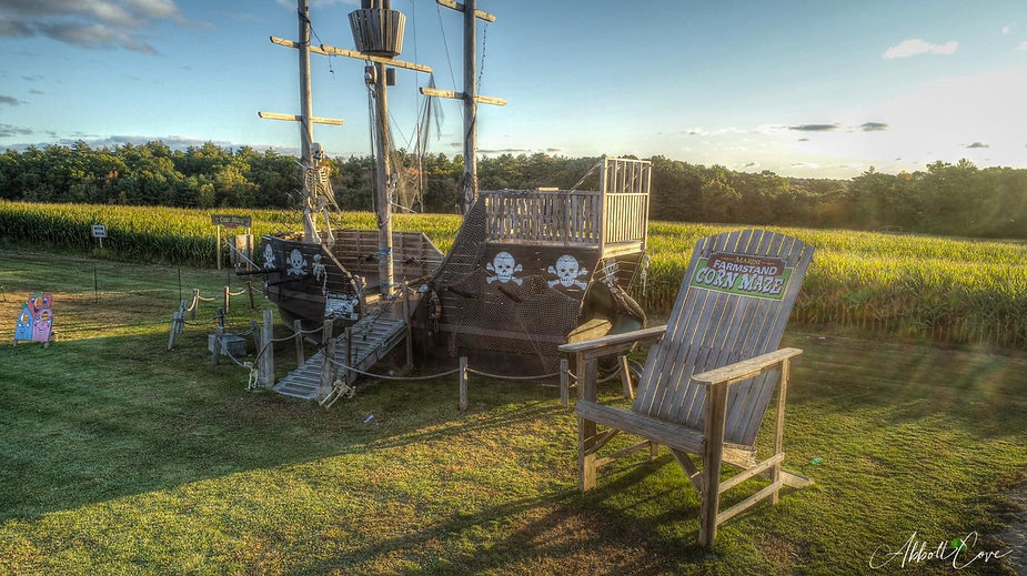 Corn Maze 2.jpeg