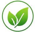 Eco-Friendly Icon