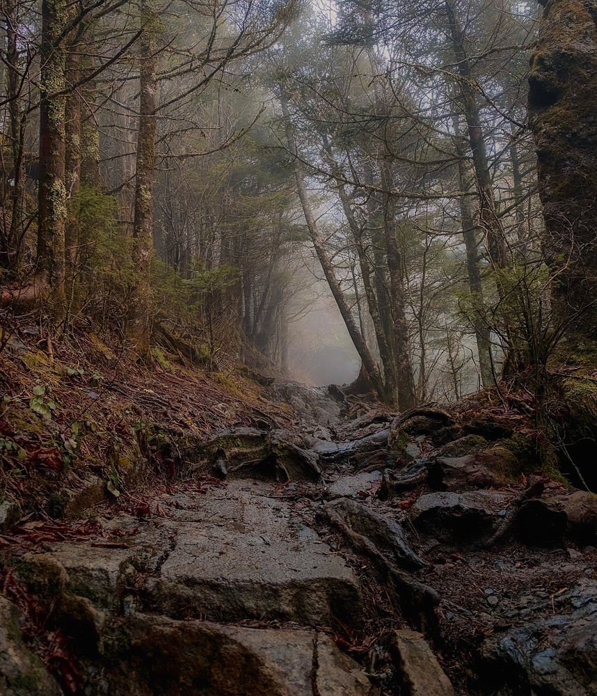 Winter Weekend in the Great Smoky Mountains