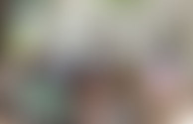 Prayer Update 30th September 2013