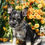 Thumbnail: Merle French Bulldog Puppy