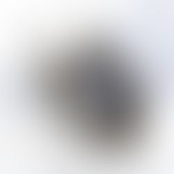 Gilwood supplies industrial boot washers