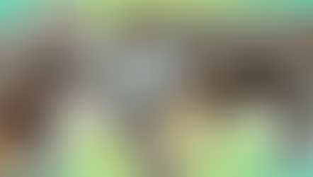 Project Update: Topaz by Scarlet Quince