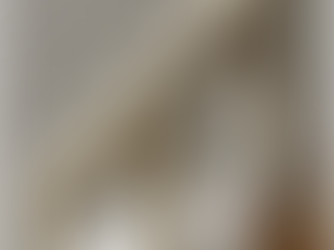 Unlocking the Power of Smartphone Sensors in Retail: How Deep Learning, AI Innovations, and PropTech are Transforming the Industry | Part 2