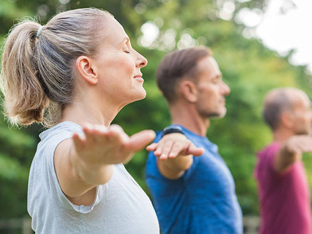 Positive Effects of Physical Exercise on Multiple Sclerosis