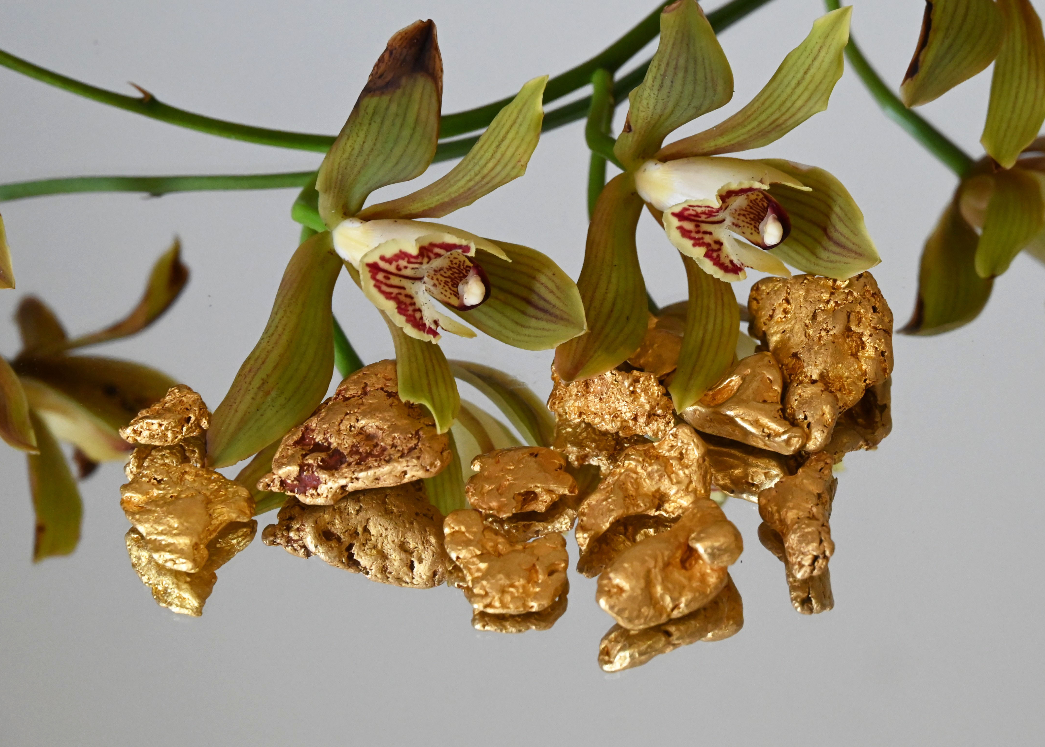 53. Orchid Gold No.1