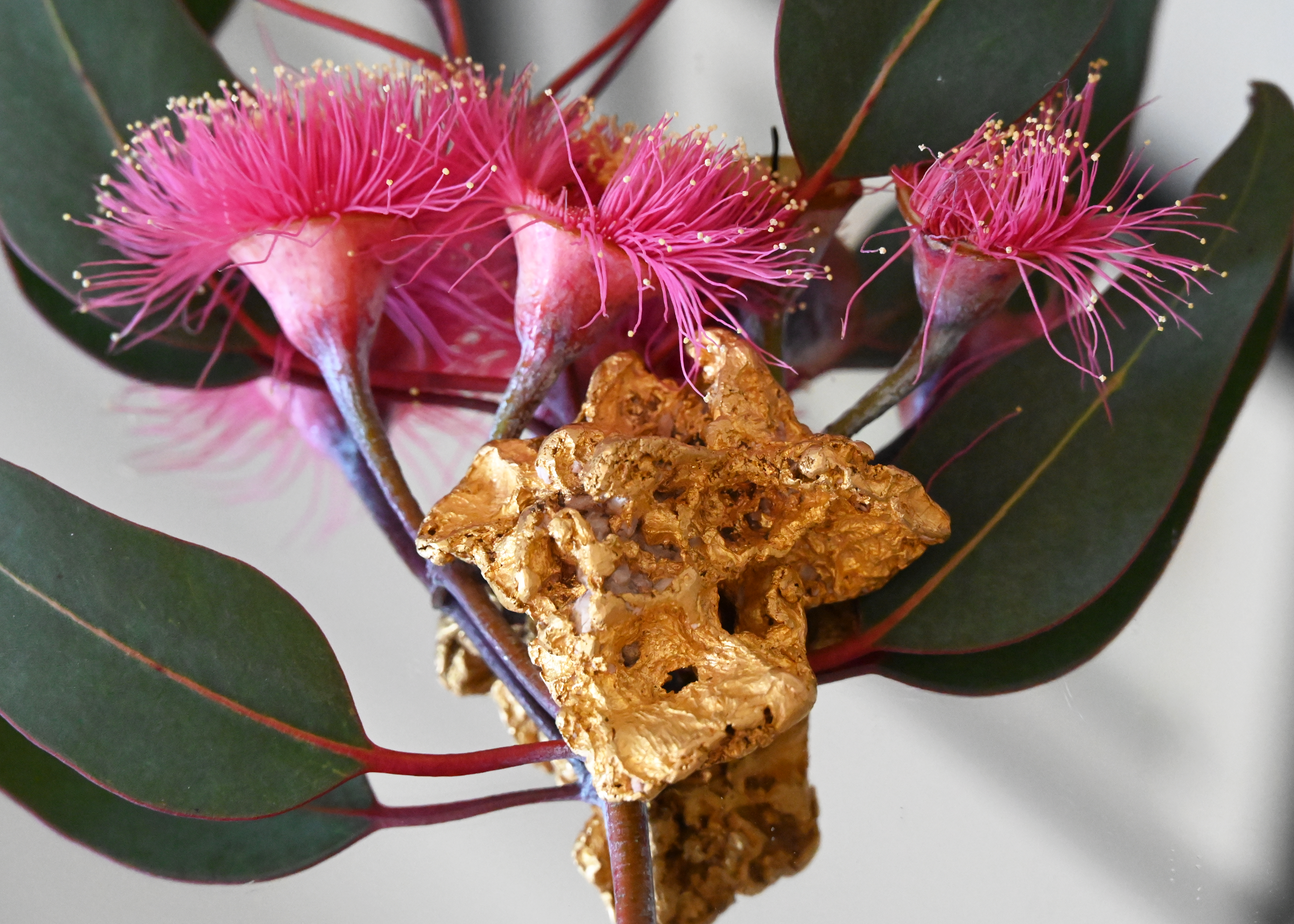 49. Golden Blossom No.2