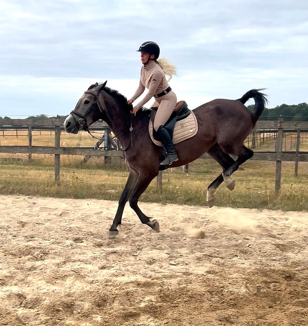 Zadelmak maken van paarden en ponies met vertrouwen.