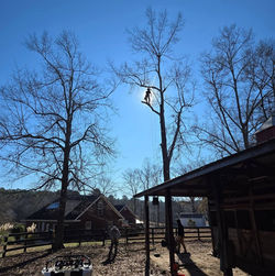 Waynesboro Tree Removal