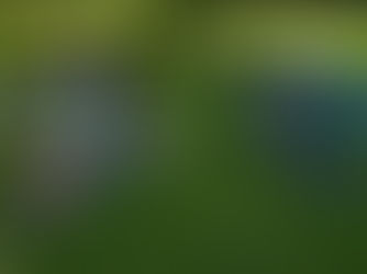 Yoga ao ar livre proporciona bem-estar e conexão para crianças e adolescentes da SLAN.