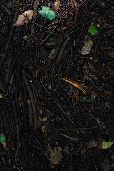 yoko-saito-OAyS6vlaJ6o-unsplash.jpeg