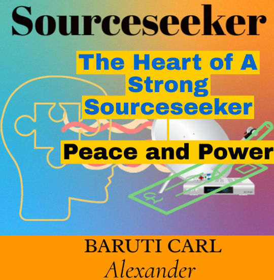 Sourceseeker Book Cover.jpeg