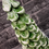 Thumbnail: Ceramic Christmas Tree Workshops